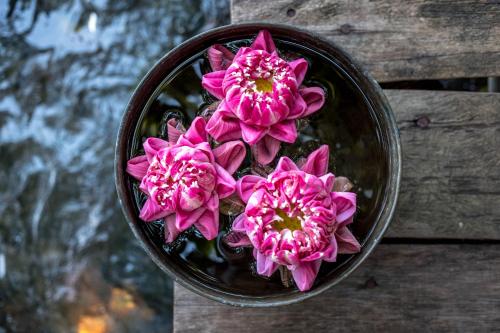 a bunch of pink flowers in a bowl on a table at Song Saa Private Island in Song Saa Private Island