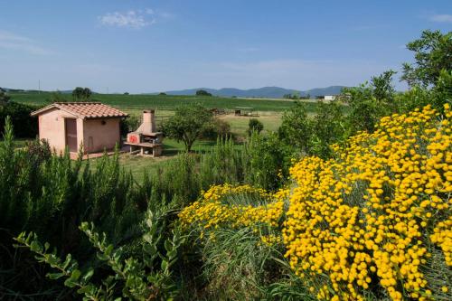 a field of yellow flowers in front of a building at Bio Agriturismo Il Melograno di Banditella Ristorante in Alberese