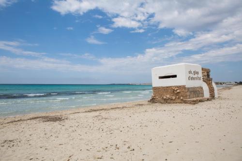 an object sitting on the beach near the ocean at MOSAIC in Sa Ràpita