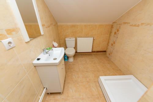 a small bathroom with a toilet and a sink at Pensiunea TAVISA in Sighetu Marmaţiei
