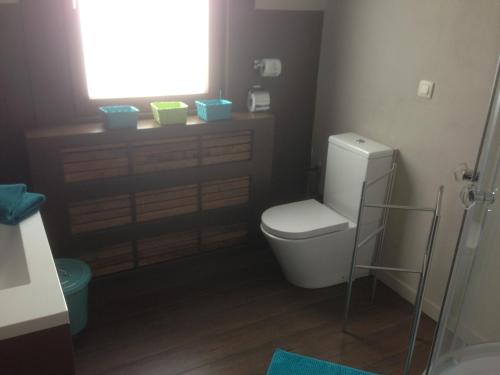 a bathroom with a white toilet and a window at B&B Family@home66 in Bruges