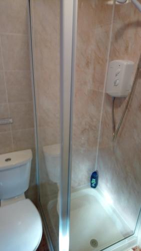 a shower with a glass door next to a toilet at Lynmoore Guest House in Blackpool