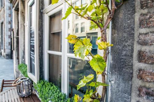 a window on a brick building with a tree at B&B Gracht 62 in Maastricht