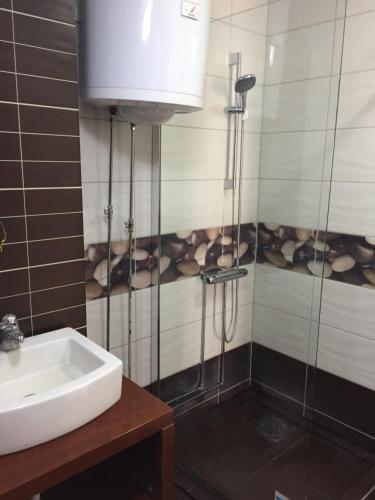 a bathroom with a sink and a shower at Oro Apartments in Petrovac na Moru