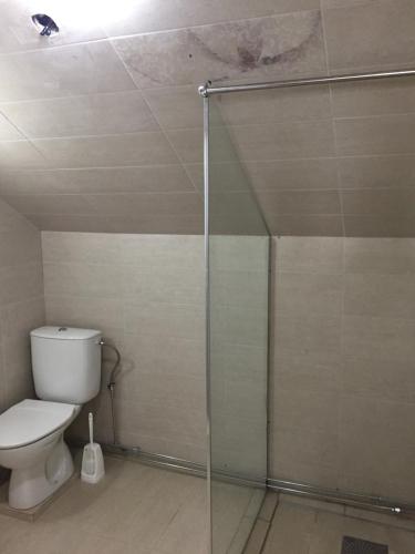 a bathroom with a toilet and a glass shower at Oro Apartments in Petrovac na Moru