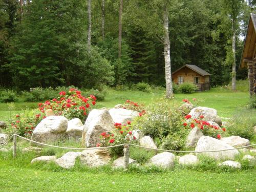 Zahrada ubytování Haaviku Nature Lodge