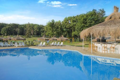 Piscina de la sau aproape de Hotel Forest Beach