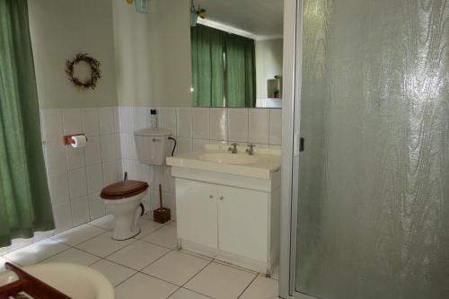 a bathroom with a toilet and a sink and a shower at Lajava Guest Lodge in Krugersdorp