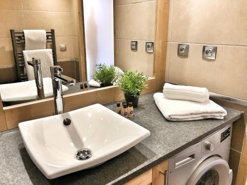 a bathroom with a sink and a washing machine at ALPA appartements - Champagny-en-Vanoise in Champagny-en-Vanoise