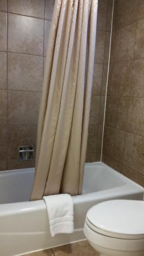 a bathroom with a toilet and a tub with a shower curtain at Lakeshor Motor Inn in Virginia