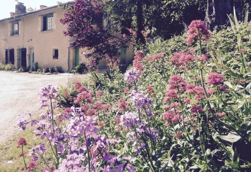 un jardin avec des fleurs violettes en face d'une maison dans l'établissement Bois Mort farm, à Gourgé