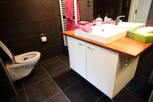 a bathroom with a white sink and a toilet at Les Sansonnets in Vaux-sur-Sûre