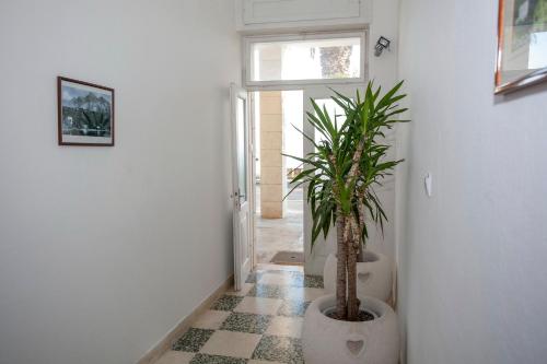 Gallery image of Apartments Sumic Podgora in Podgora