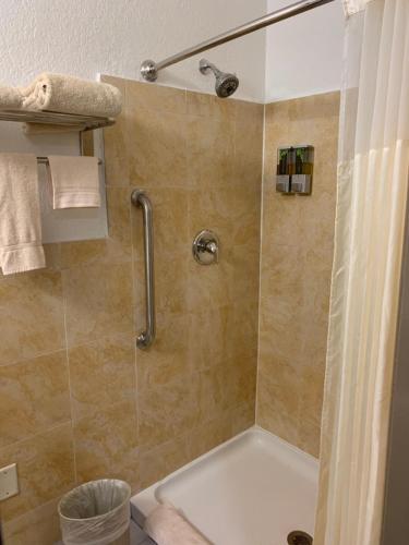 a bathroom with a shower with a shower curtain at Budget Inn Lake Wales in Lake Wales