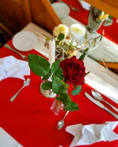 a rose in a vase on a red table at Parkhotel Meerane in Meerane