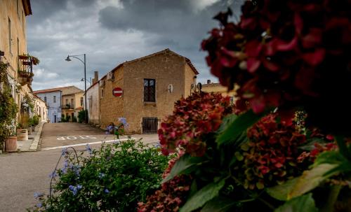a group of flowers in front of a building at Antica Dimora La Corona in San Pantaleo