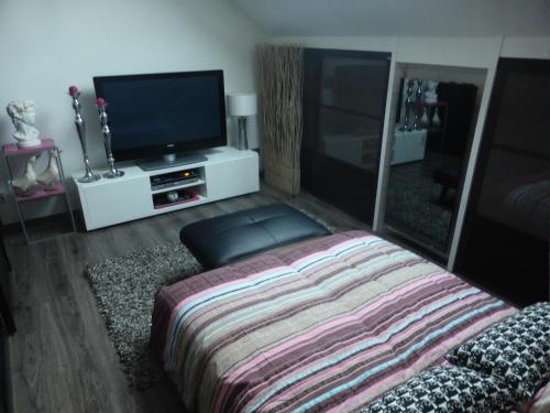 un salon avec un lit et une télévision à écran plat dans l'établissement Louane, au Mans
