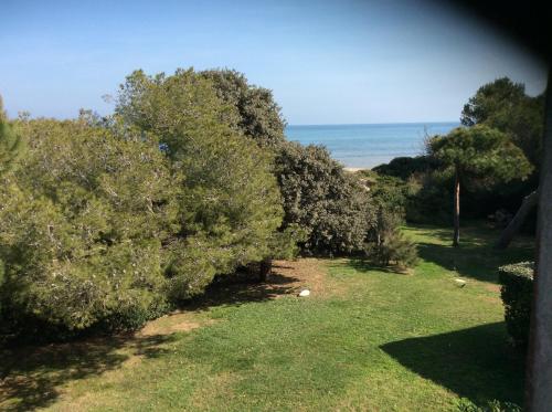 a garden with trees and the ocean in the background at Entre mer et piscine in Hyères