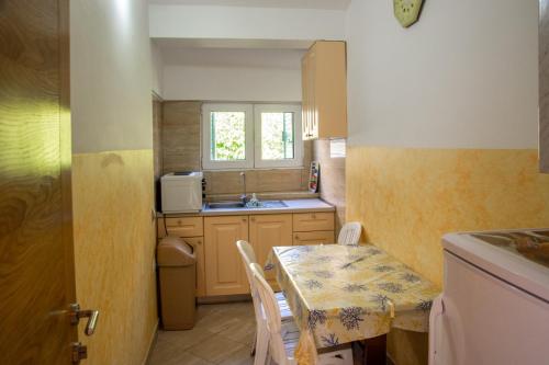 Η κουζίνα ή μικρή κουζίνα στο Apartments Ivona