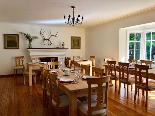 a dining room with tables and chairs and a fireplace at Hostería Pionero in Cerro Castillo
