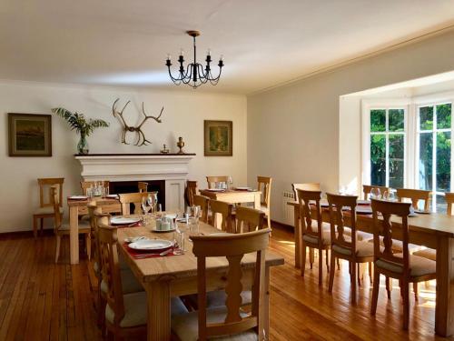 a dining room with tables and chairs and a fireplace at Hostería Pionero in Cerro Castillo