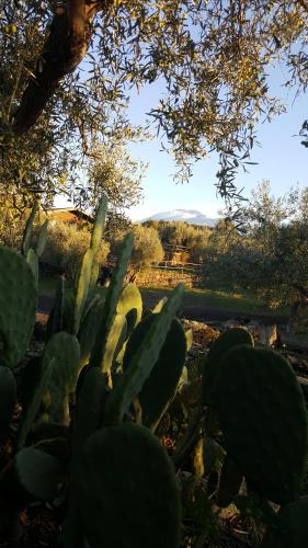 Acquarossabed – Photos 4