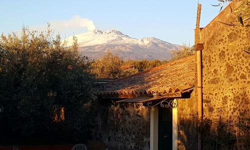 Acquarossabed – Photos 5