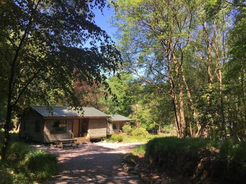 a small cabin in the middle of a forest at Woodland Cabins, Glencoe in Ballachulish