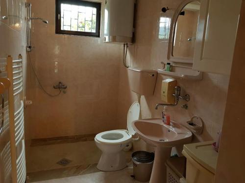 a small bathroom with a toilet and a sink at Apartments Astel in Bar