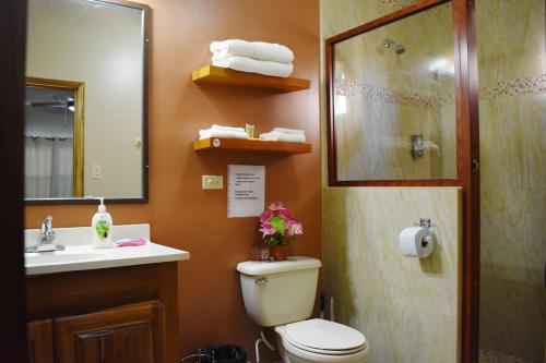 a bathroom with a toilet and a sink and a shower at Lucina's in San Ignacio