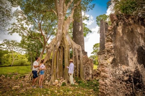 a group of people standing around a tree at Hacienda Uxmal Plantation & Museum in Uxmal
