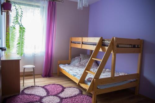 a bunk bed in a room with a purple wall at Apartament in Krakow