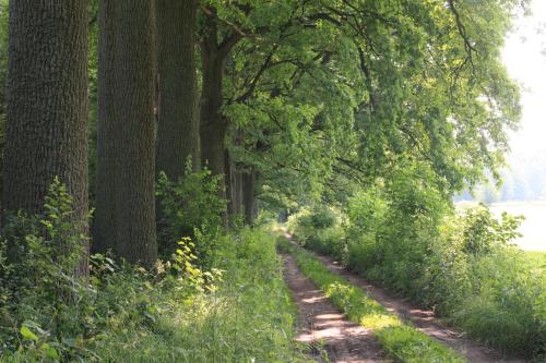 Gallery image of Pałac Pozorty in Pozorty