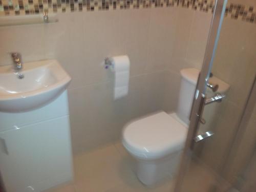 een badkamer met een toilet en een wastafel bij Town House in Ennis