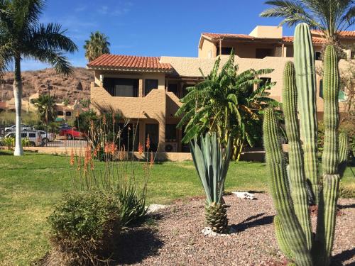 a house with palm trees and cactuses in a yard at Villa en Marinaterra en seguida de Marina San Carlos in San Carlos