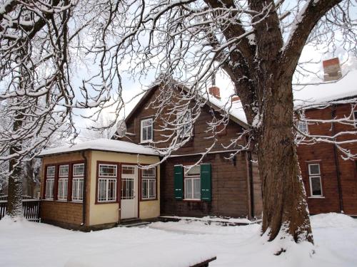 a house with a tree in the snow at Ezera Maja in Liepāja