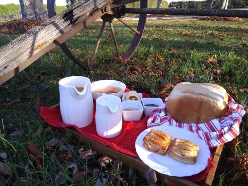 a picnic table with bread and pastries on it at Magnolia Cottage B&B in Pleasant Point