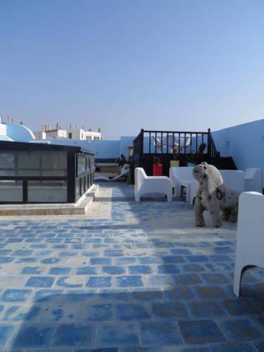 a patio with white chairs and tables on a roof at La Maison des Artistes in Essaouira