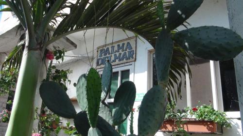 a plant in front of a building with a sign at Palma del Mar 2 in Puerto Baquerizo Moreno