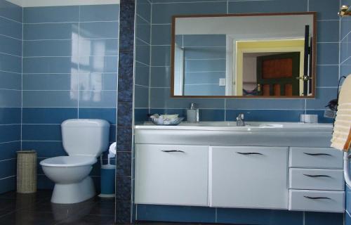 a bathroom with a toilet and a sink and a mirror at Wellesbourne Homestay B&B in Palmerston North