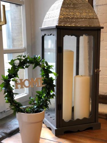 a lantern with a candle and a potted plant at Ferienwohnung am Schlössle in Ochsenfurt