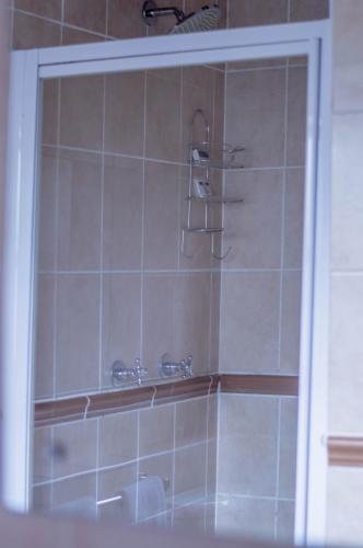 a bathroom with a shower with a sink at 314 on Clark Guest House in Pretoria