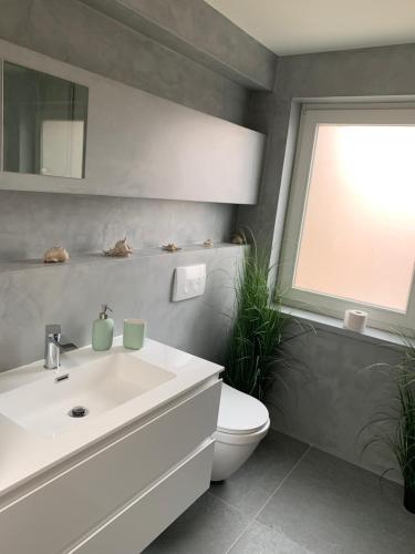 クノック・ヘイストにあるSleutelVan8のバスルーム(白い洗面台、トイレ付)