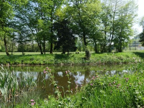 a pond in a park with trees and grass at La demeure d'Aiglepierre in Aiglepierre