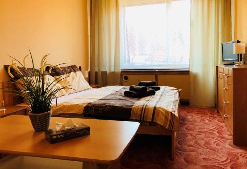 - une chambre avec un lit, une table et une fenêtre dans l'établissement Hotel Slatina, à Lipová-lázně