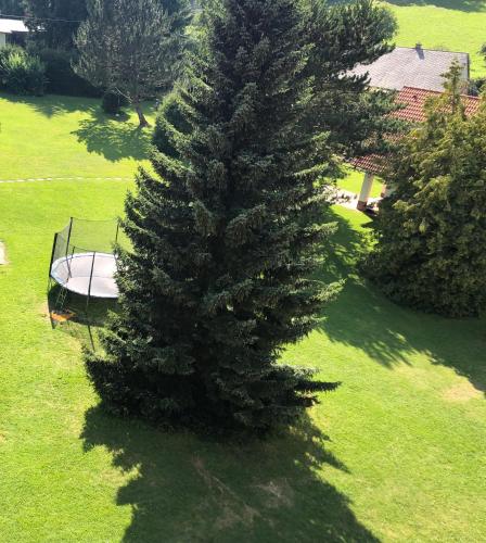an aerial view of a christmas tree in a yard at Hotel Slatina in Lipova Lazne