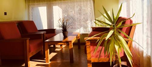 a living room with a table and a potted plant at Hotel Slatina in Lipova Lazne