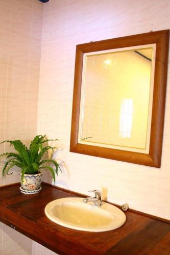 a bathroom sink with a mirror and a potted plant at Pongphen Guesthouse - SHA Plus Certified in Kanchanaburi