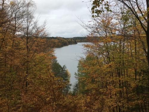 a view of a lake through the trees at Röblinseeterrassen in Fürstenberg-Havel