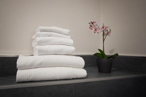 Gallery image of 6th Land - Rent Rooms Affittacamere in La Spezia